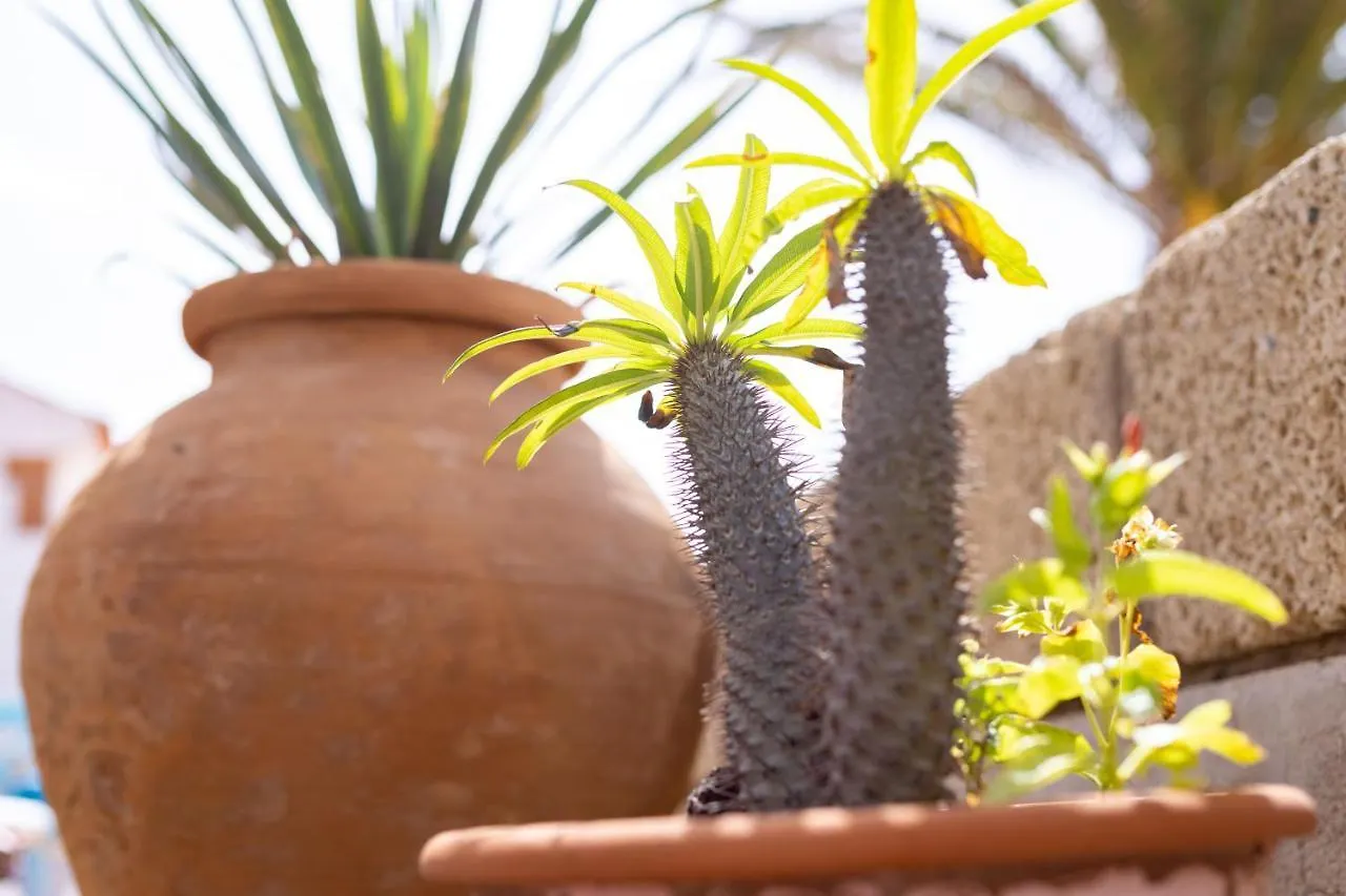 Casa Limon - Ocean View - Bbq - Garden - Terrace - Free Wifi - Child & Pet-Friendly - 2 Bedrooms - 6 People 0*, Poris de Abona Spain